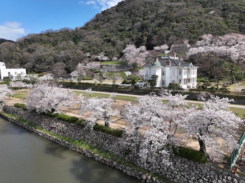 🏯 돗토리 성터 이미지 1